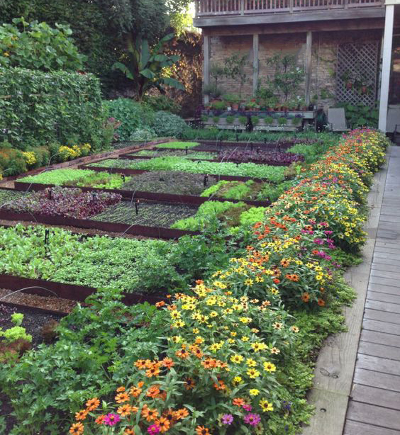 Garden
